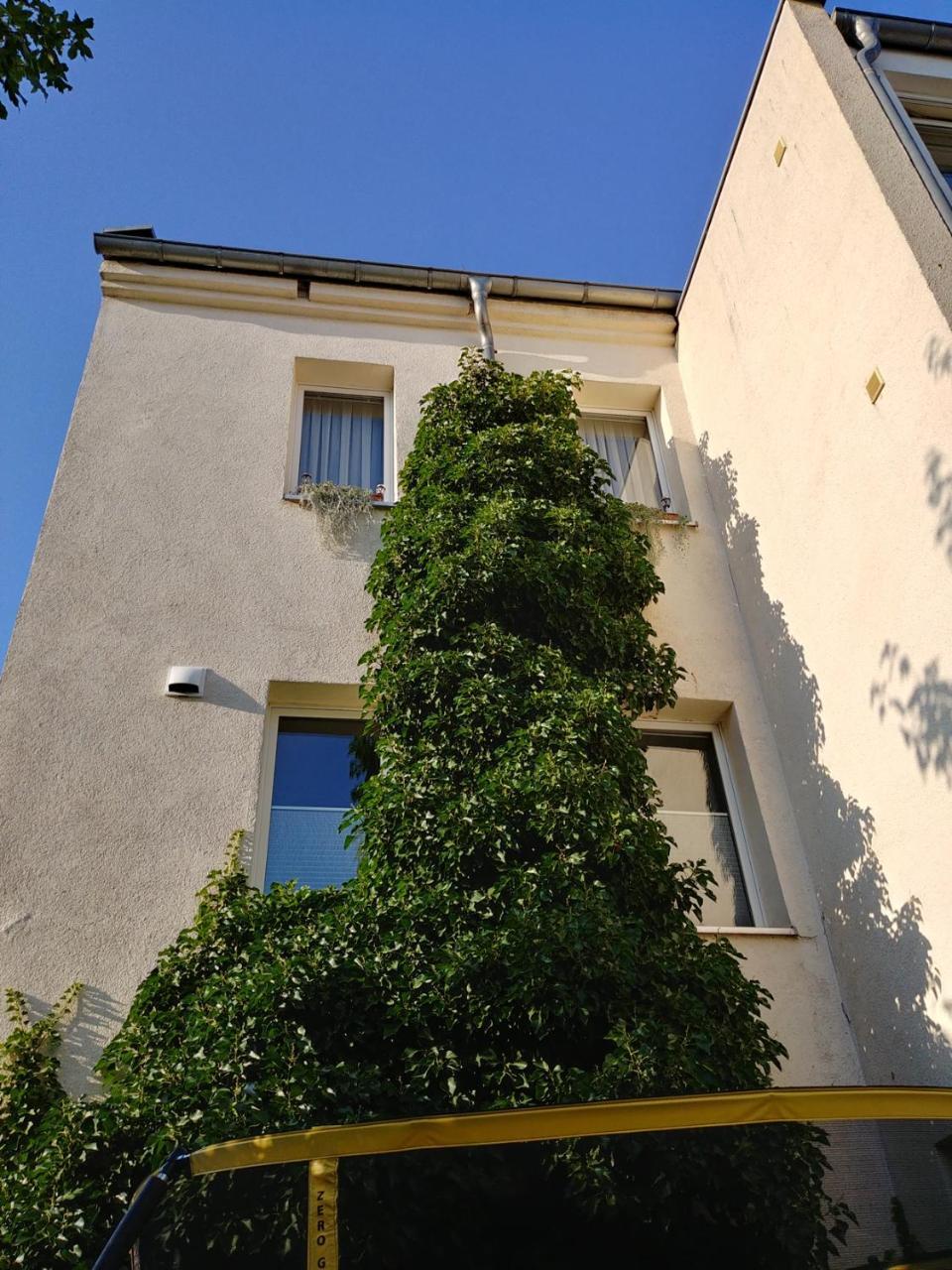Gapart - Apartments Mit Kueche Leipzig Exterior foto